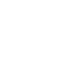 ferris-wheel