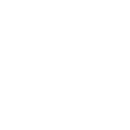 shield-centered